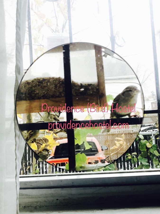 Providence Hostel & Guest House ภายนอก รูปภาพ