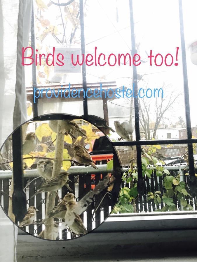 Providence Hostel & Guest House ภายนอก รูปภาพ